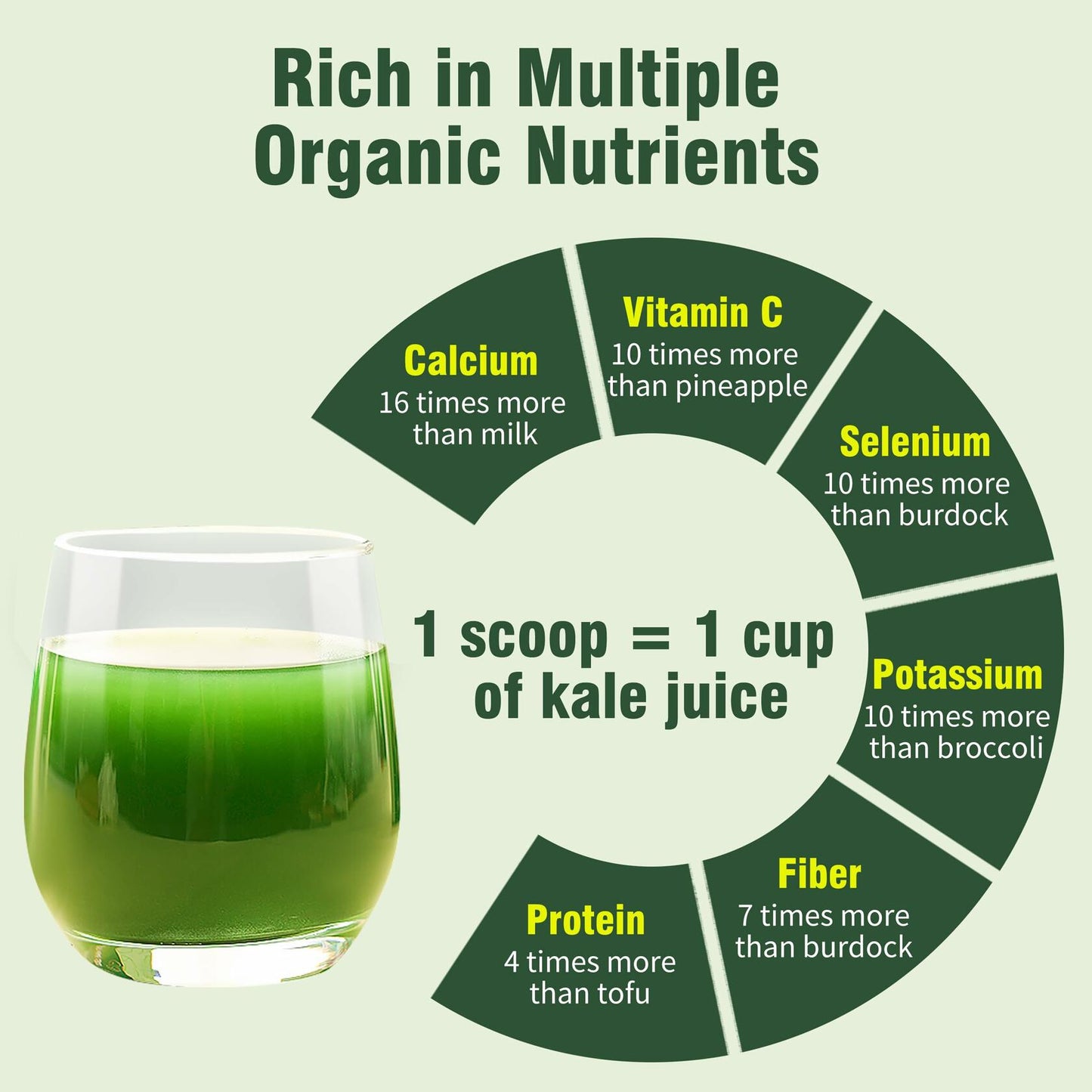 Hudetex Kale Powder 100% Pure Green Juice 12oz Vegan Dietary Fiber