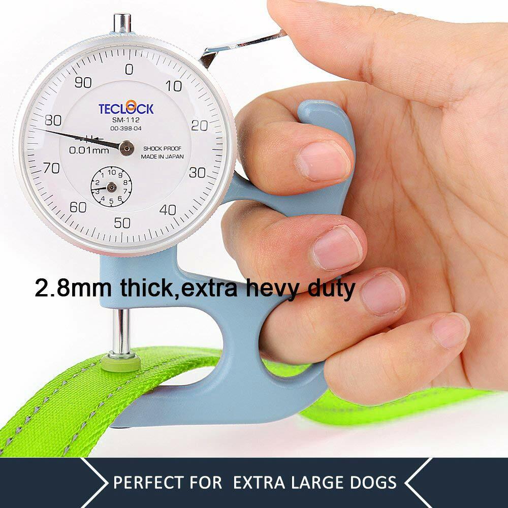 Plutus Pet Double Handle Dog Leash 6ft Heavy Duty Reflective Green