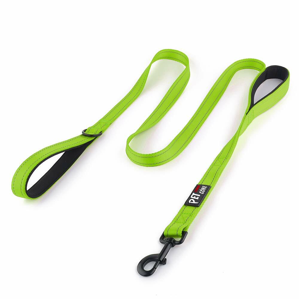 Plutus Pet Double Handle Dog Leash 6ft Heavy Duty Reflective Green