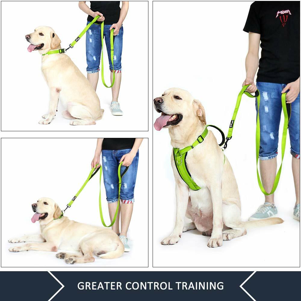 Plutus Pet Double Handle Dog Leash 6ft Heavy Duty Reflective Green