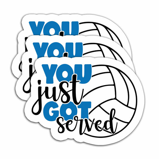 HYKADEUS You Just Got Served Volleyball Sticker 3x2.2in 3Pcs Waterproof Vinyl