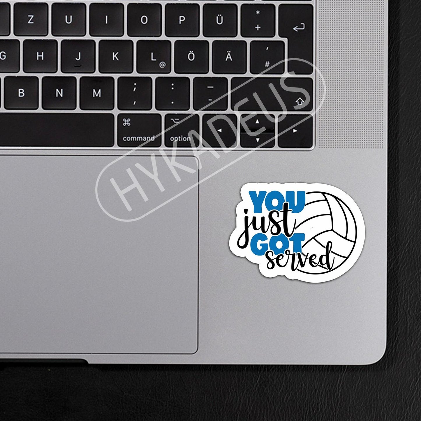 HYKADEUS You Just Got Served Volleyball Sticker 3x2.2in 3Pcs Waterproof Vinyl