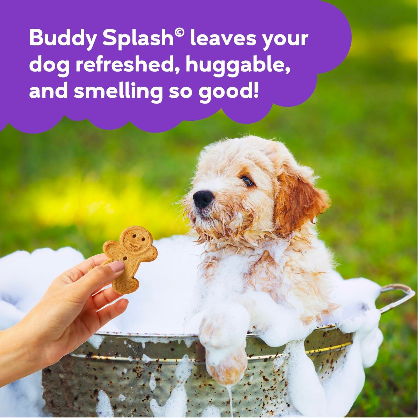 Buddy Splash Spritzer & Conditioner Dog Grooming Lavender Mint 16oz