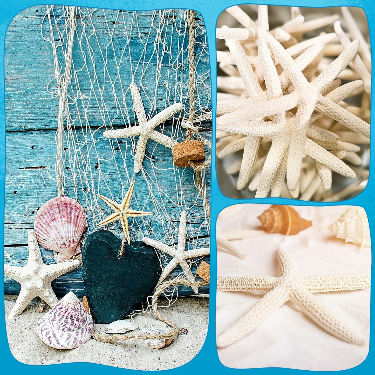 TaoQ 24 PCS Natural White Starfish 2.5-4 Inch Seashells for Crafts Decor