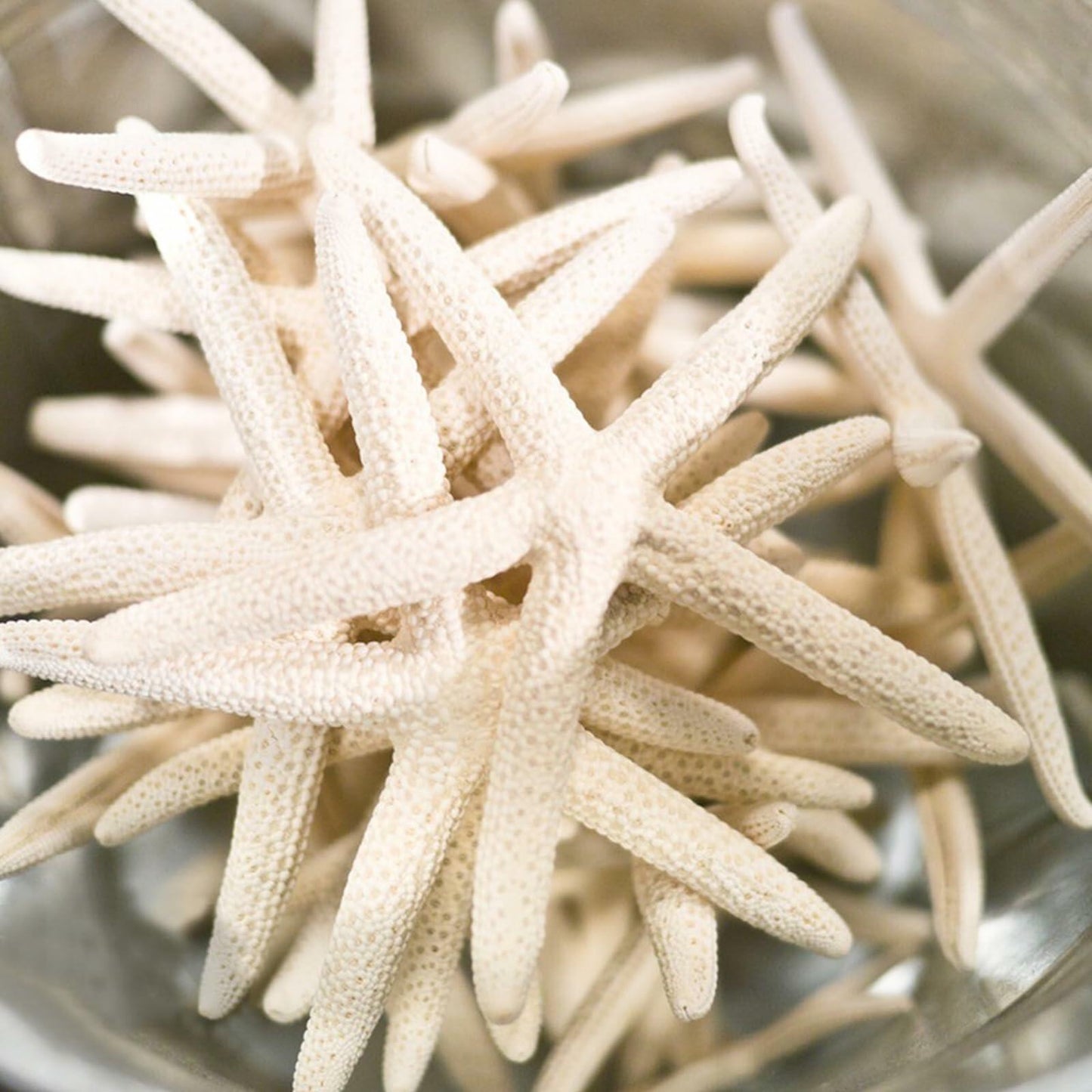 TaoQ 24 PCS Natural White Starfish 2.5-4 Inch Seashells for Crafts Decor