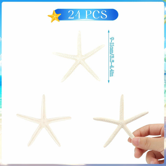 TaoQ 24 PCS Natural White Starfish 2.5-4 Inch Seashells for Crafts Decor