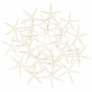 TaoQ 24 PCS Natural White Starfish 2.5-4 Inch Seashells for Crafts Decor