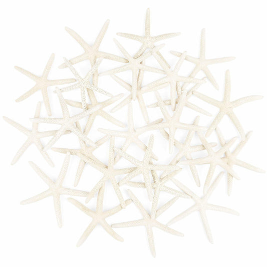 TaoQ 24 PCS Natural White Starfish 2.5-4 Inch Seashells for Crafts Decor