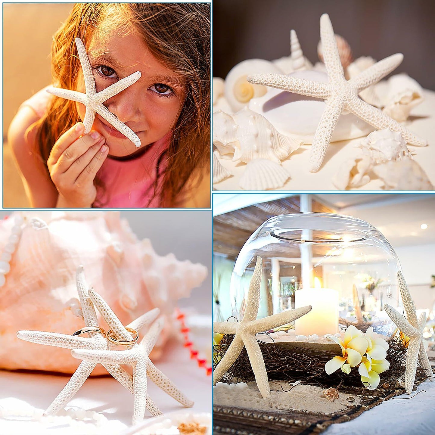 TaoQ 24 PCS Natural White Starfish 2.5-4 Inch Seashells for Crafts Decor