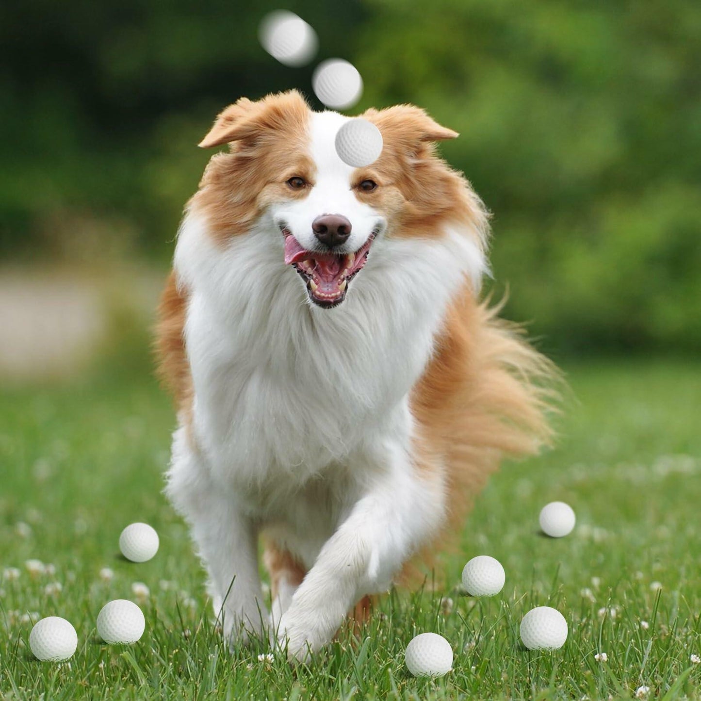 Hooqict Mini Foam Golf Stress Ball 25 Pack Small Sports Squeeze Balls