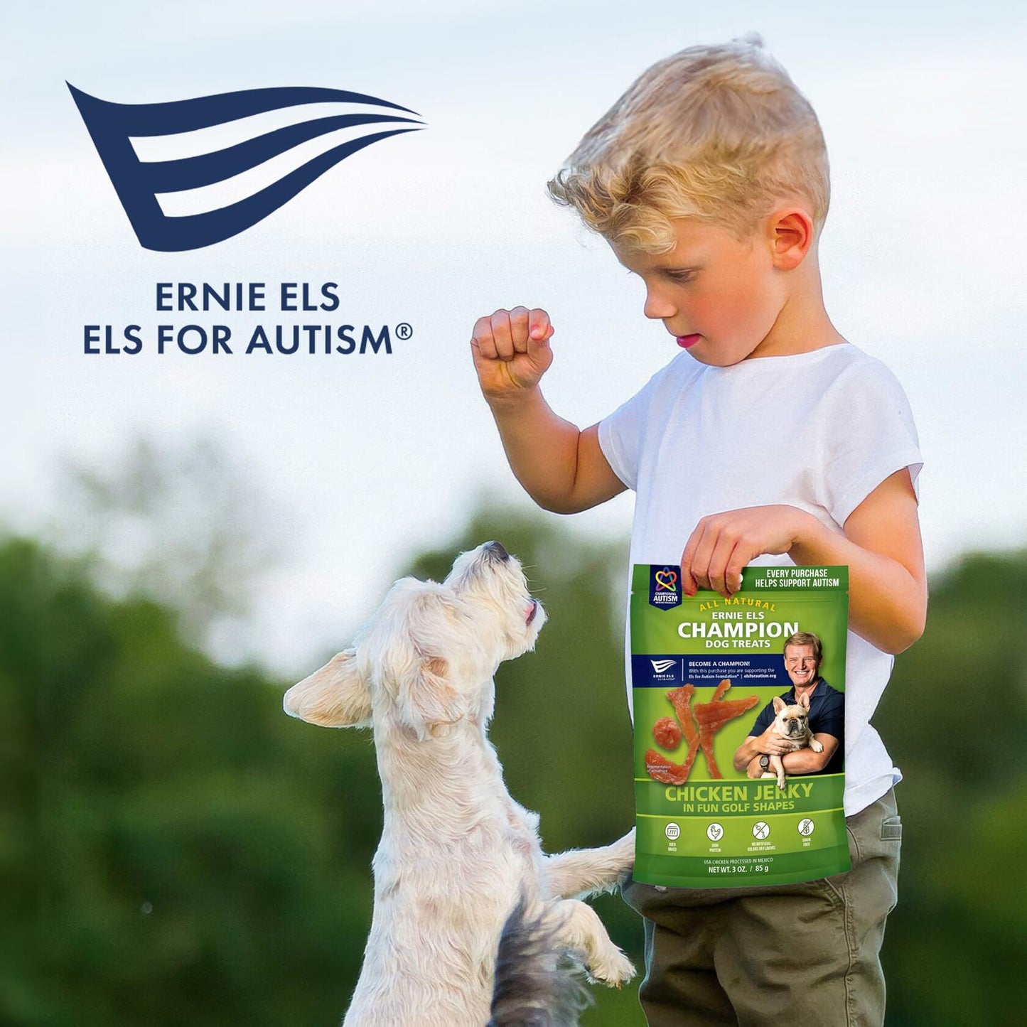 Ernie Els Chicken Jerky Dog Treats Golf Shapes 3oz Pack of 2