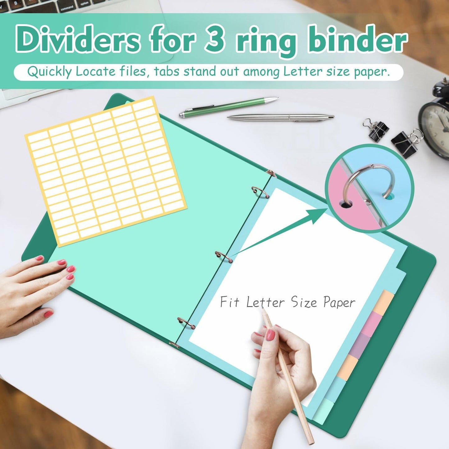 TREEHOLE 8 Tab Plastic Binder Dividers Set, Letter Size 8.5x11, Multicolor