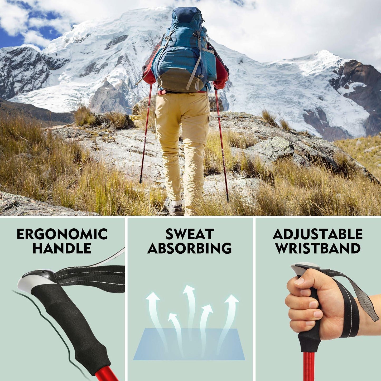 WHDZHSHD Collapsible Trekking Poles Aluminum Adjustable Locks 51in Red 2pc