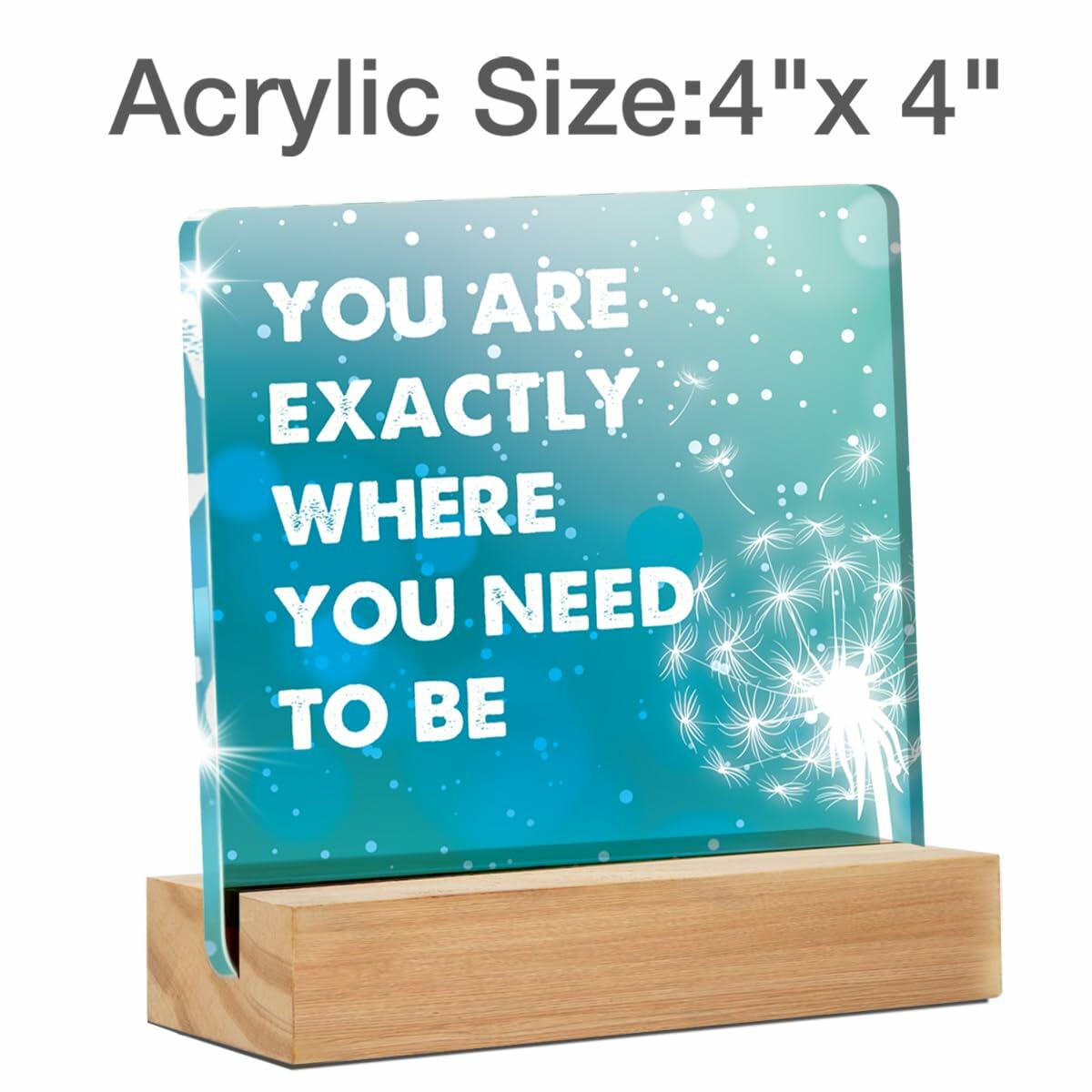 GTGIC Inspirational Desk Sign Motivational Acrylic Office Decor 4x4 Inches