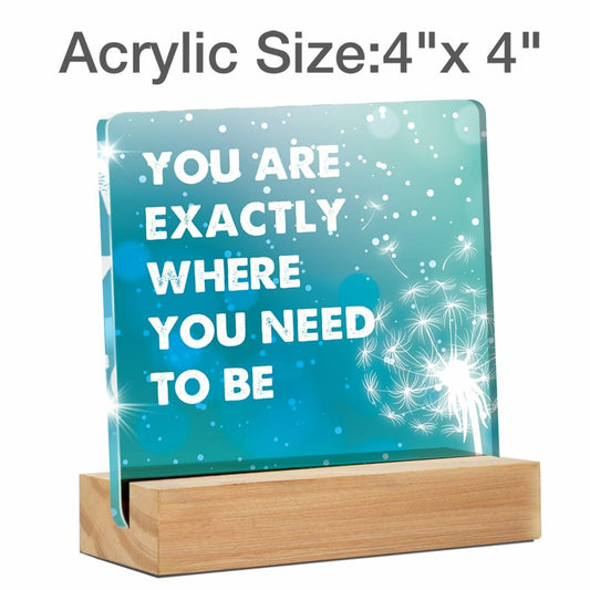 GTGIC Inspirational Desk Sign Motivational Acrylic Office Decor 4x4 Inches