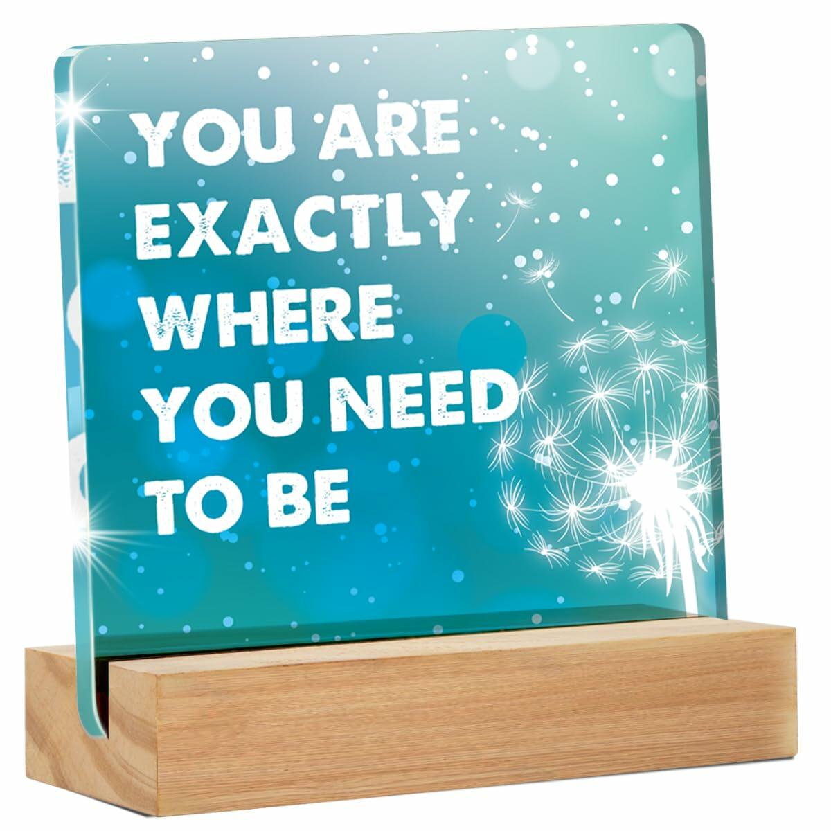 GTGIC Inspirational Desk Sign Motivational Acrylic Office Decor 4x4 Inches