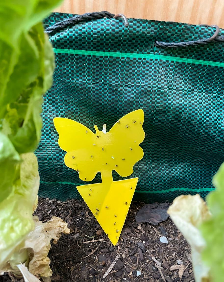 60Pcs Fungus Gnat Sticky Traps with Ties for Indoor Plants - Yellow