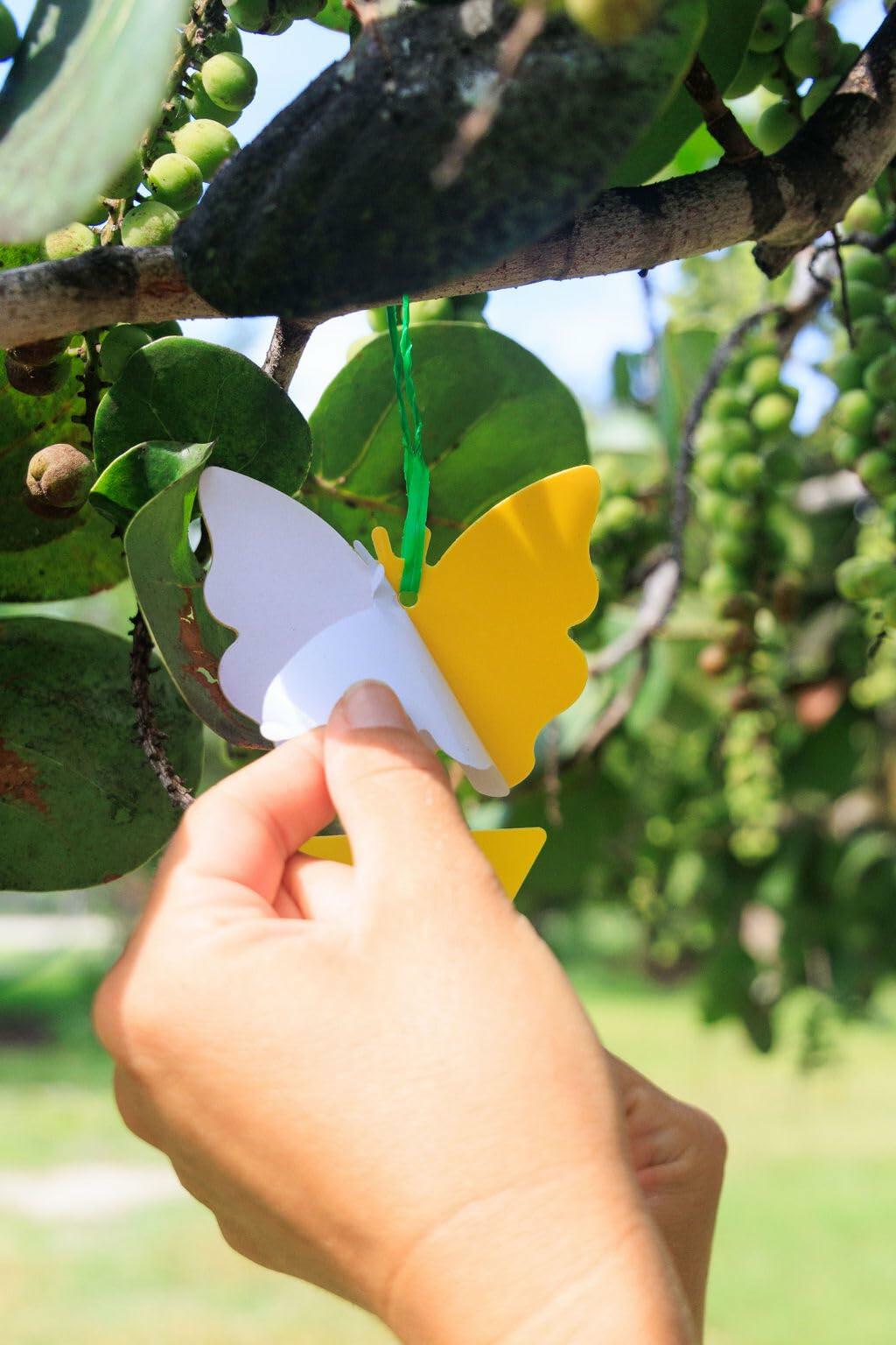60Pcs Fungus Gnat Sticky Traps with Ties for Indoor Plants - Yellow
