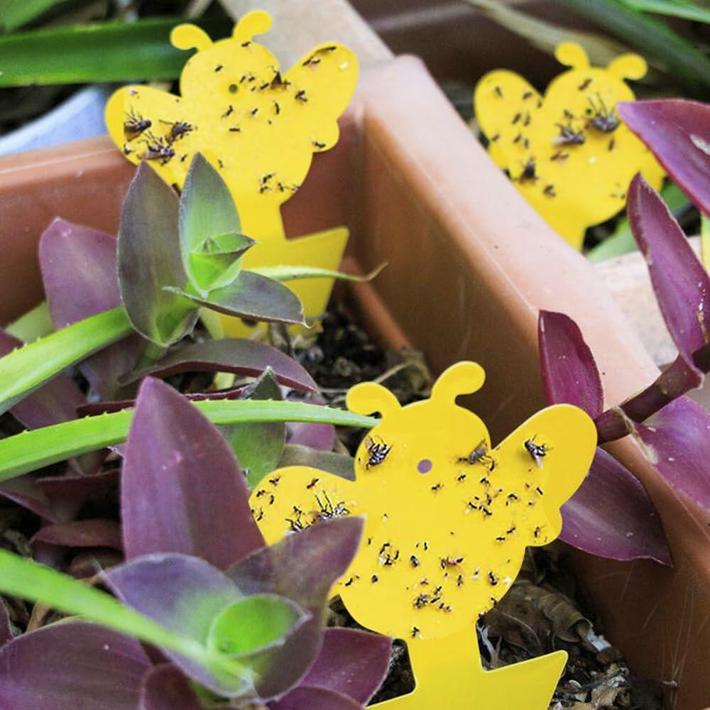 60Pcs Fungus Gnat Sticky Traps with Ties for Indoor Plants - Yellow