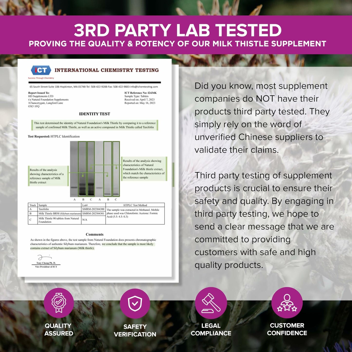 Natural Foundation Milk Thistle Supplement 70mg 240 Tablets USA 100:1 Extract