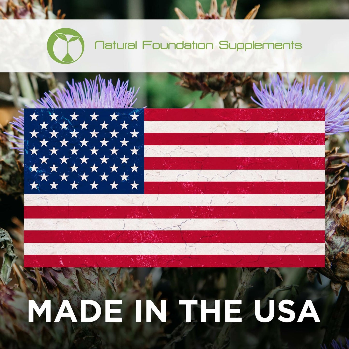 Natural Foundation Milk Thistle Supplement 70mg 240 Tablets USA 100:1 Extract