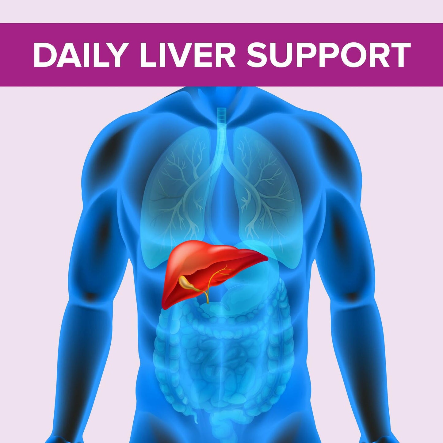 Natural Foundation Milk Thistle Supplement 70mg 240 Tablets USA 100:1 Extract