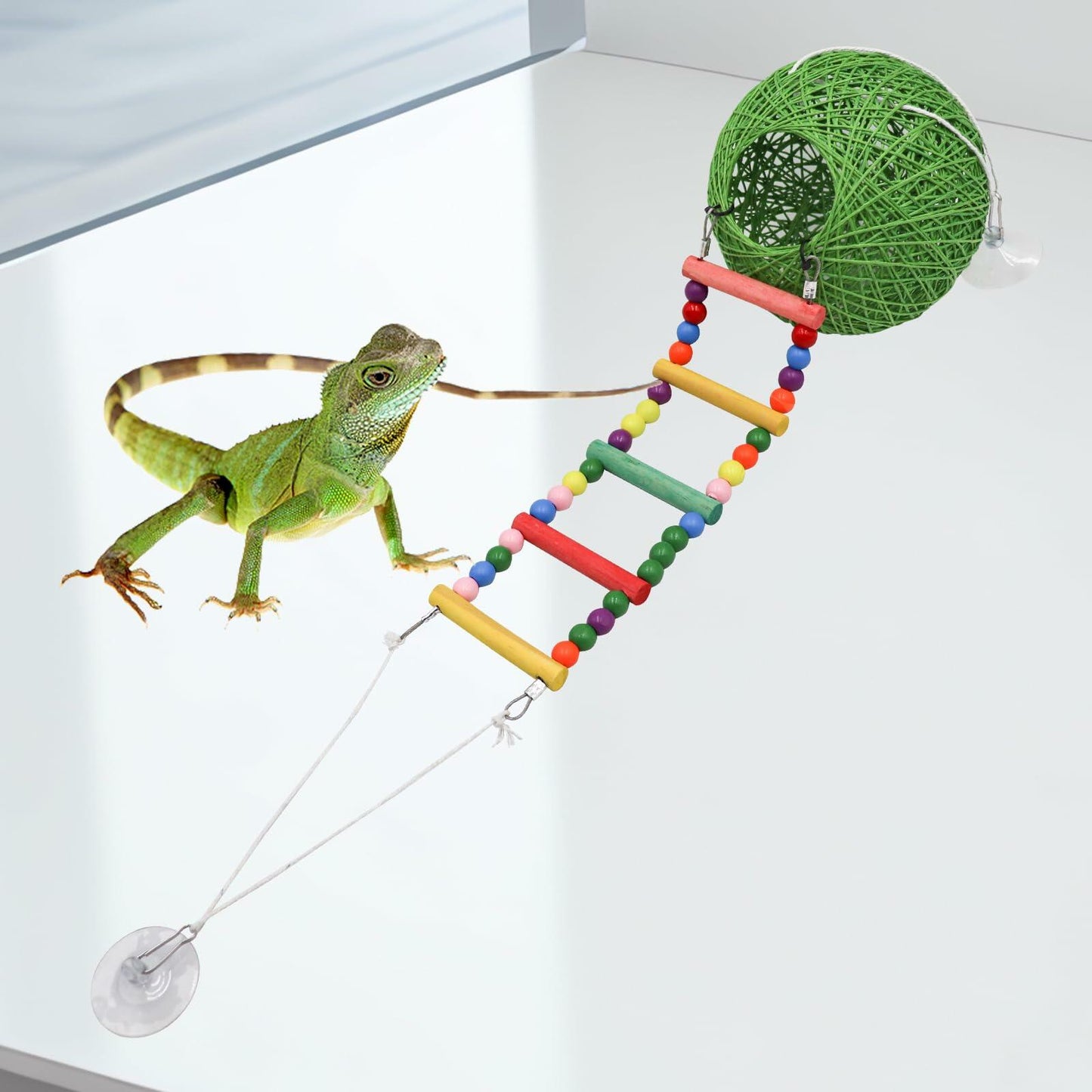 Neeenn Reptile Takraw Ball Hideout Climbing Toy Ladder Tank Decor