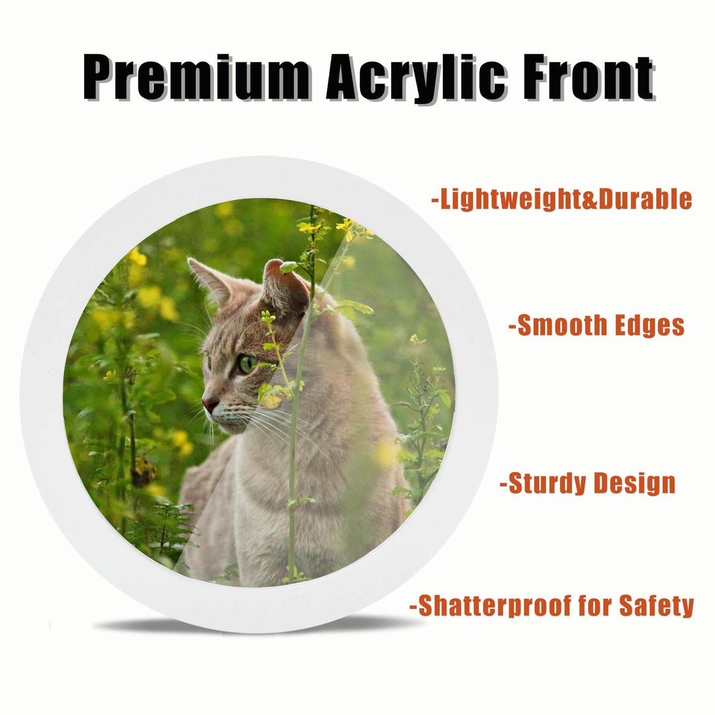 irbaniland Round Photo Frame White 6 Inch Wall Table Mount Elegant Wood