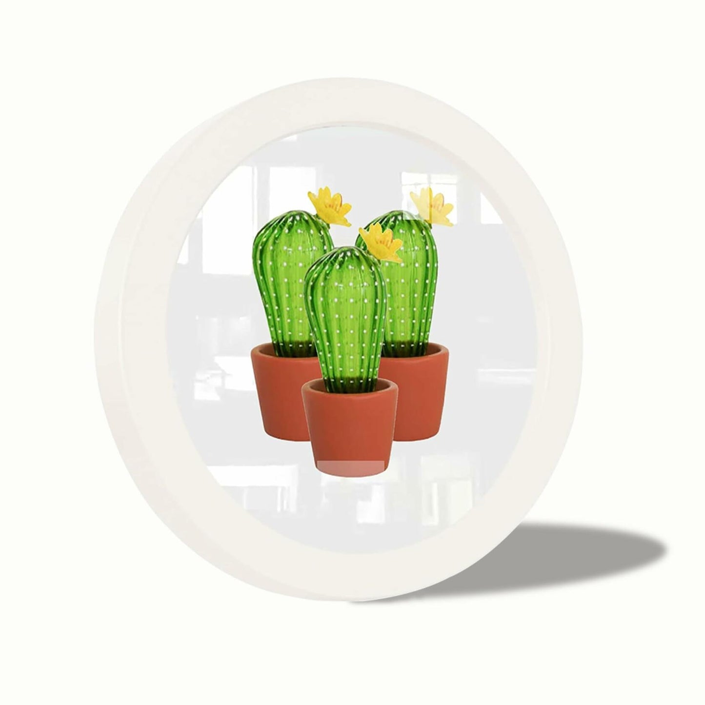 irbaniland Round Photo Frame White 6 Inch Wall Table Mount Elegant Wood