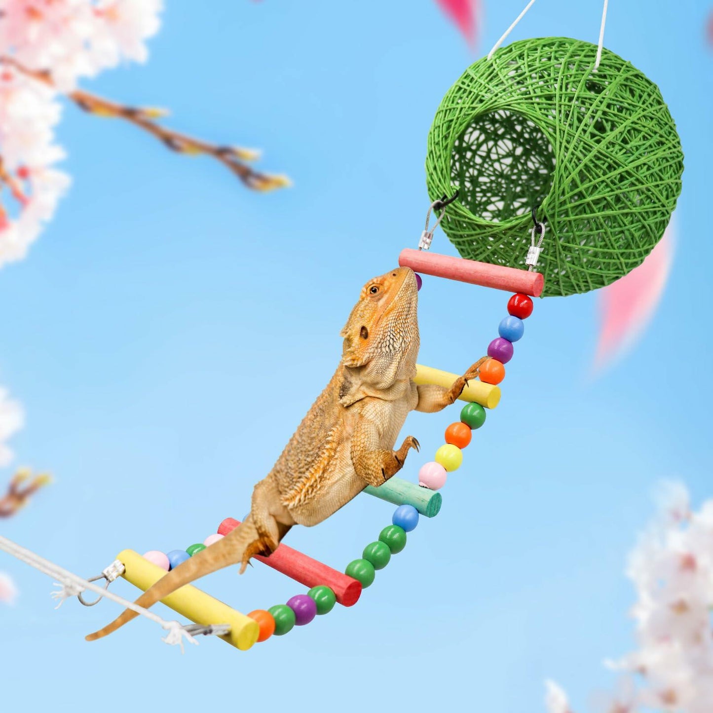 Neeenn Reptile Takraw Ball Hideout Climbing Toy Ladder Tank Decor