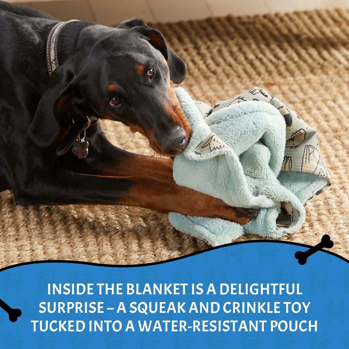 Squiggy Squeaks Dog & Cat Sleep Play Blanket Squeaky Toy 22x27in Blue/Green