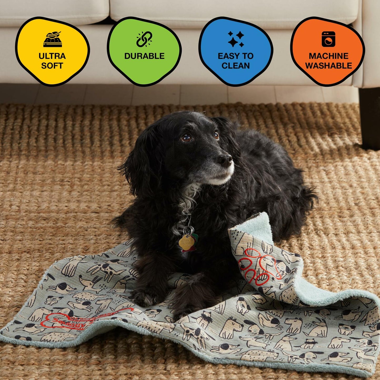 Squiggy Squeaks Dog & Cat Sleep Play Blanket Squeaky Toy 22x27in Blue/Green