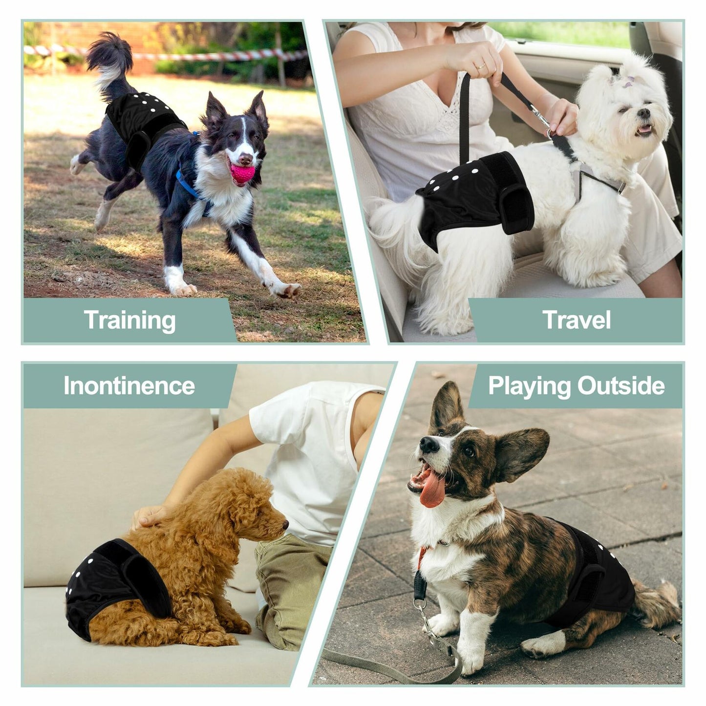 Grecle Washable Female Dog Diapers - Reusable, Adjustable, Absorbent, L