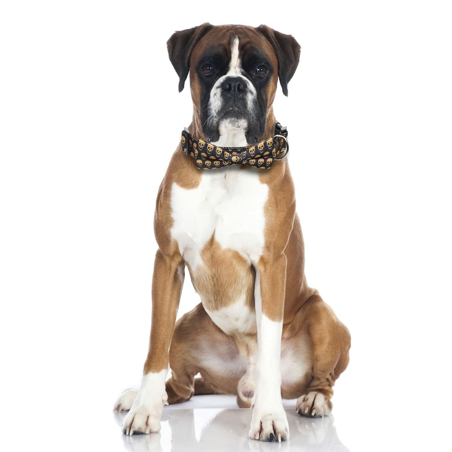 Lamphyface Halloween Dog Collar with Removable Cute Bow Tie Adjustable Cotton L