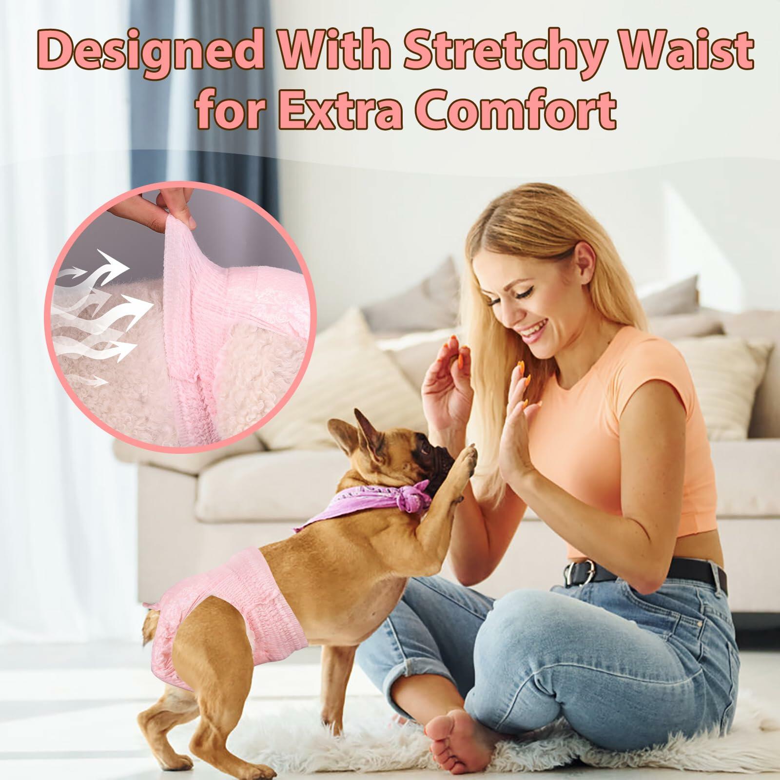 Ambreview Female Dog Diapers 10pcs Medium Pull-Up Leak Proof Absorbent