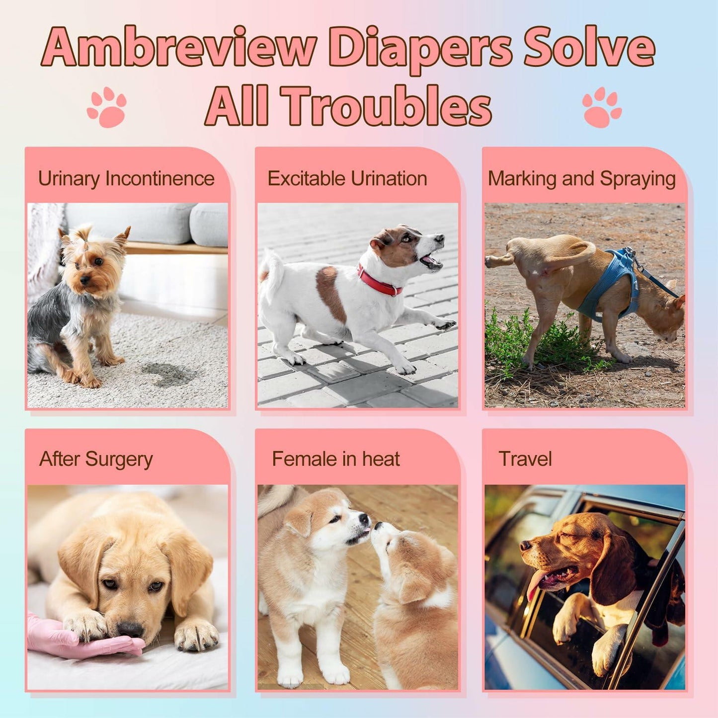Ambreview Female Dog Diapers 10pcs Medium Pull-Up Leak Proof Absorbent