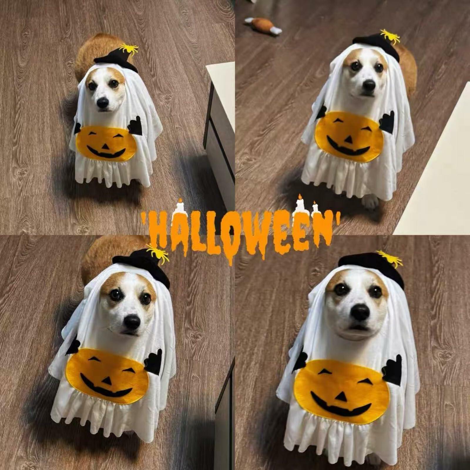 Dog Cat Halloween Pumpkin Ghost Costume Funny Cute Pet Outfit Medium