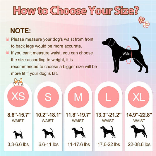 Ambreview Female Dog Diapers 10pcs Medium Pull-Up Leak Proof Absorbent