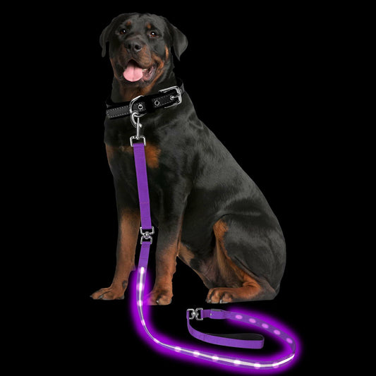 PetIsay Light-Up Dog Leash 6FT USB-C Rechargeable Waterproof White