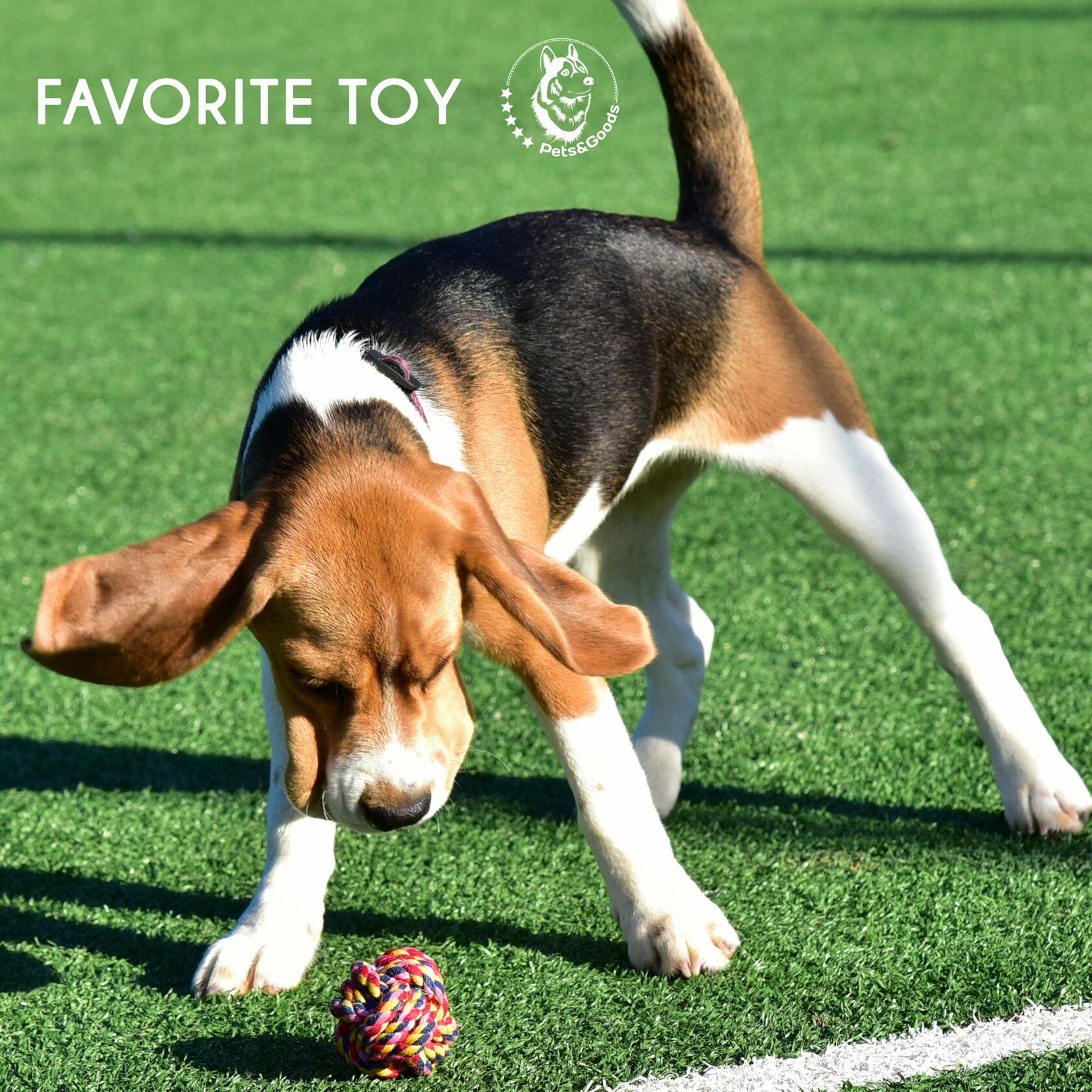 Pets&Goods Rope Dog Toys 13-Pack Durable Cotton Chew Tug Toys