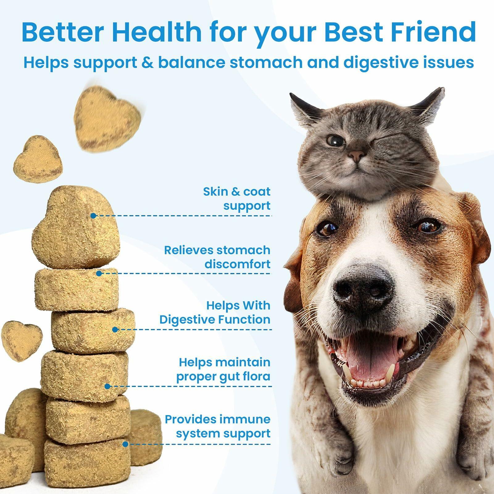 Bighero Probiotics for Dogs Digestive Gut Health Soft Chews 180 Ct