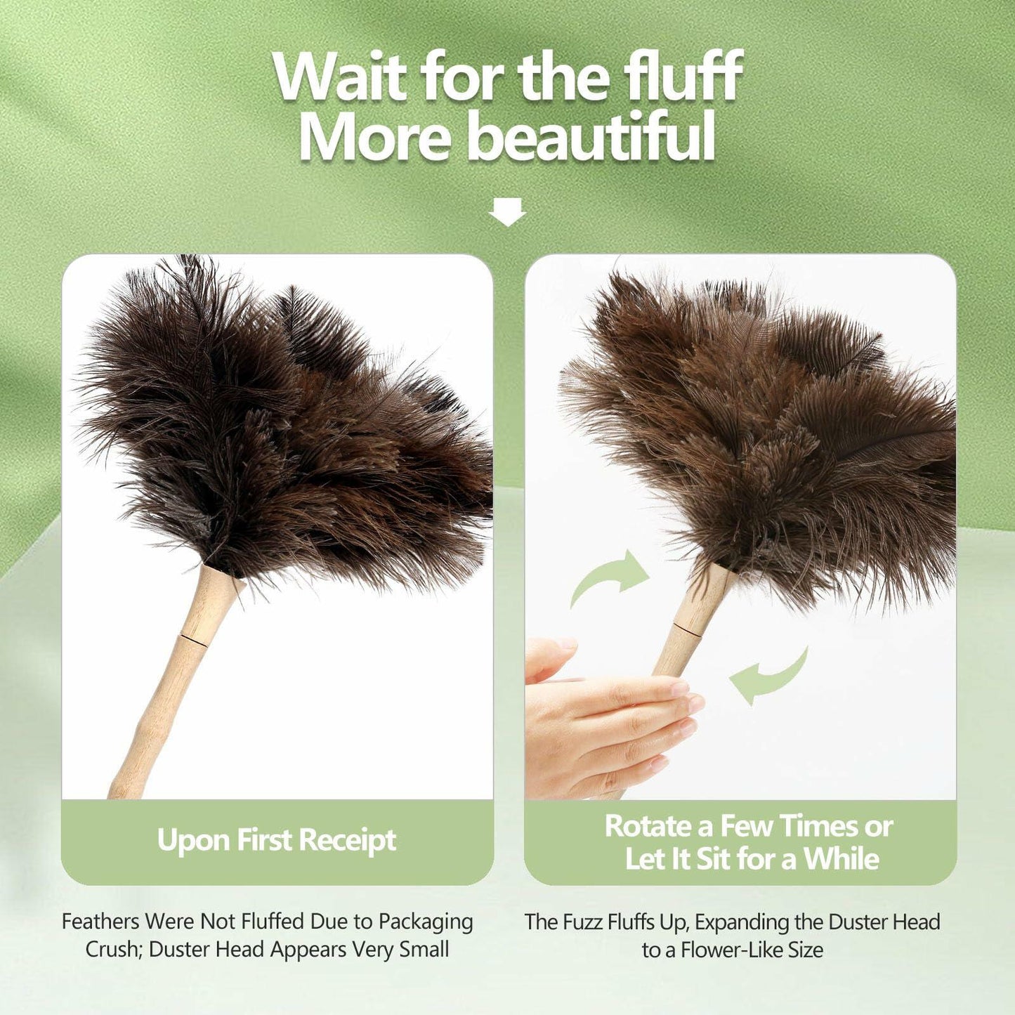 Greenfeather Small Ostrich Feather Duster 16in Wooden Handle 2 Pack