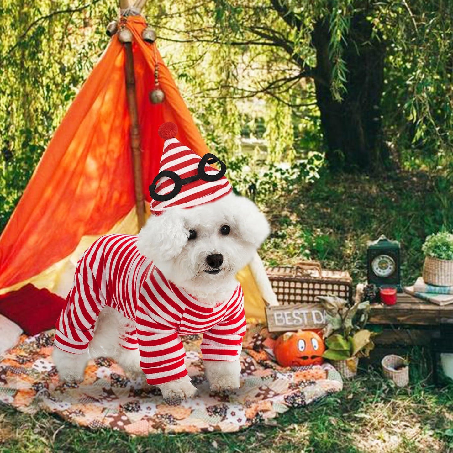 QPAXUCR 2PCS Dog Shirt & Hat Set Red White Striped Halloween Costume Size L