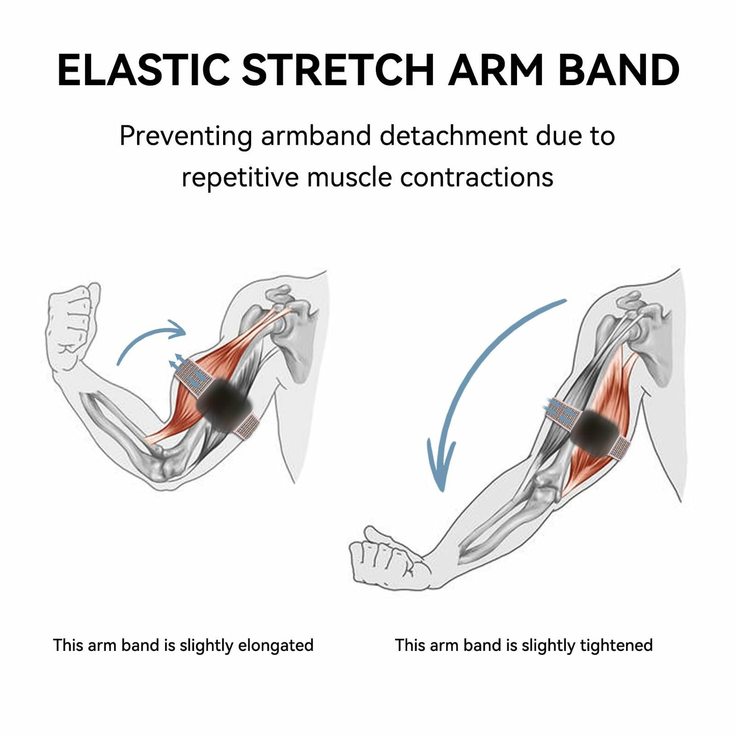 Zspoly 3 Pack Nylon Sport Ankle Arm Bands Apple Watch 38-49mm Pine Olive Cream