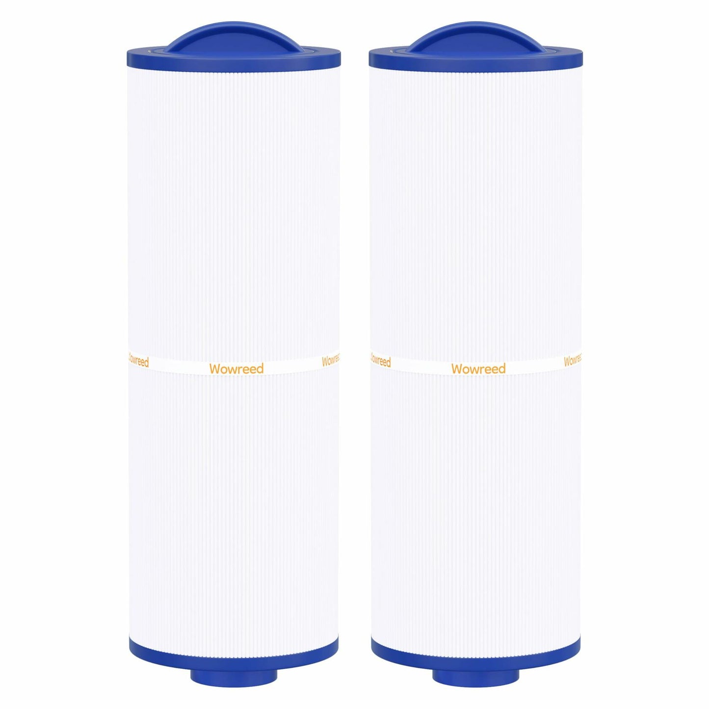 Wowreed Spa Filter Compatible PWW50L Rising Dragon 50 50 sq ft 2 Pack