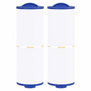 Wowreed Spa Filter Compatible PWW50L Rising Dragon 50 50 sq ft 2 Pack