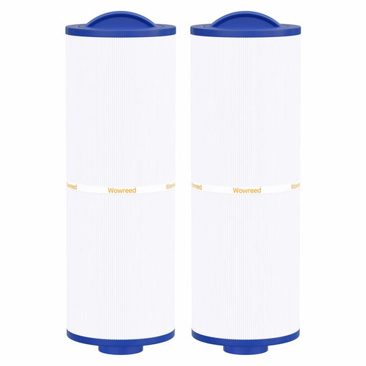 Wowreed Spa Filter Compatible PWW50L Rising Dragon 50 50 sq ft 2 Pack