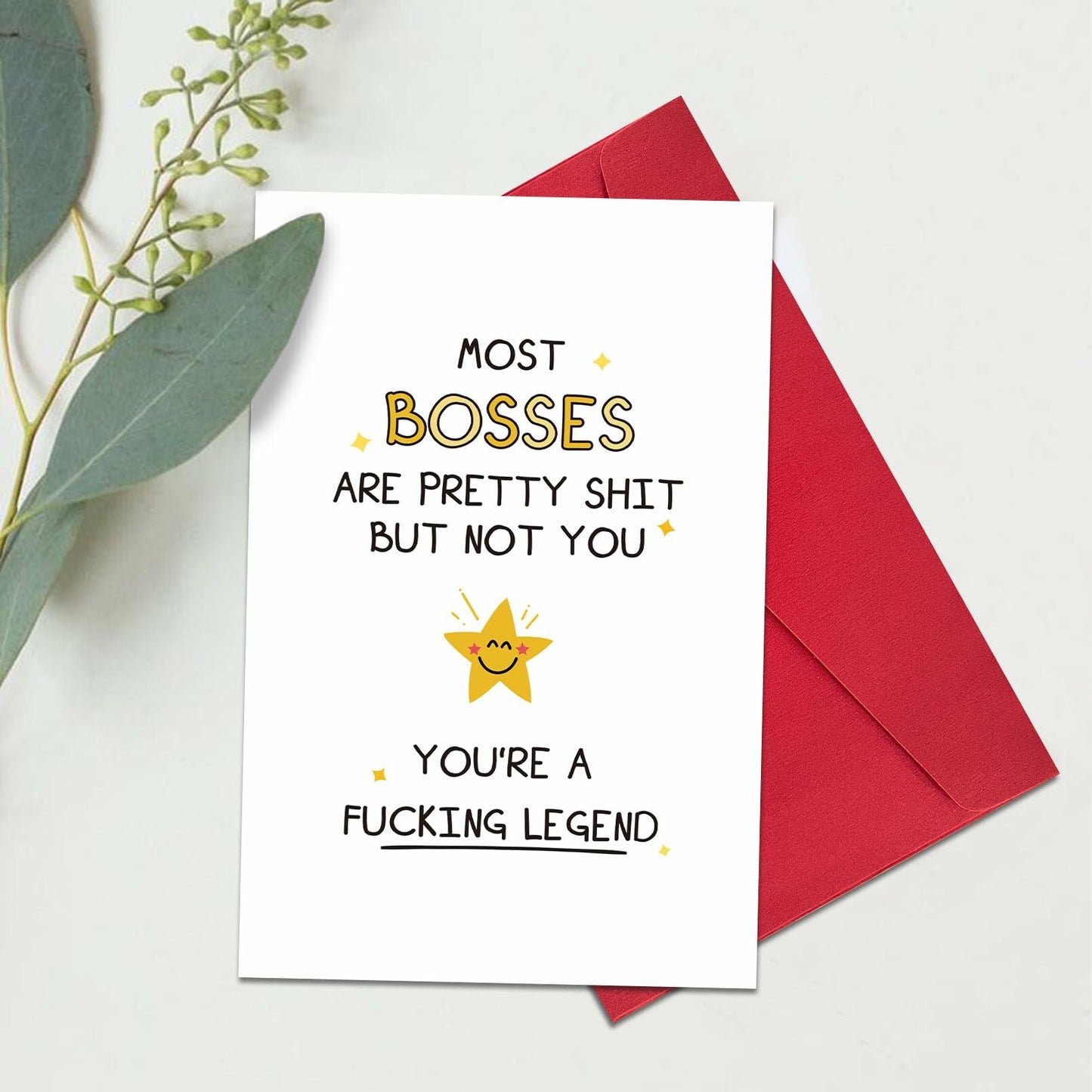 Ogeby Funny Boss Day Card for Him & Her | Humorous Appreciation Gift