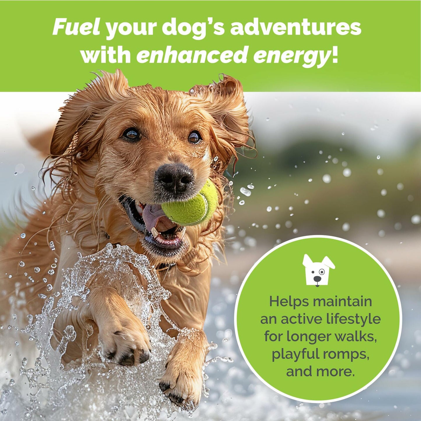 Dog Joint Support Powder – Beef Flavor Glucosamine Supplement for Mobility