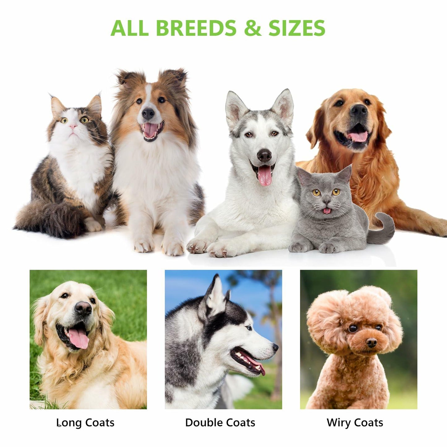 STALTWO 2-in-1 Pet Brush & Undercoat Rake Shedding Tool for Dogs Cats